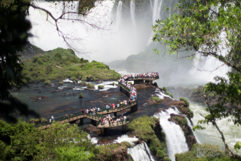 Iguassu watervallen: Braziliaanse kant tijdens een privétour