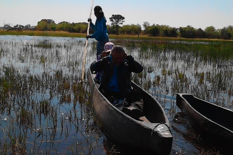 excursión de un día en mokoro por el delta del okavango
