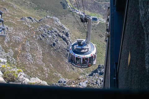 Cape Town: Table Mountain, Kirstenbosch Botanic Garden Tour Small Shared Group Tour ( All fees Entry are included)