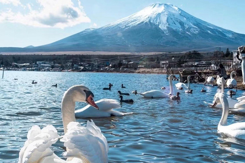 Tokyo: Mount Fuji & Pagoda & Oshino Hakkai & Lake Kawaguchi Route B : Mount Fuji & Hakone Private Customizable Day Trip