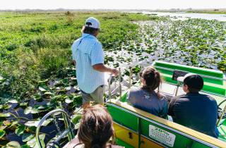 Orlando: Entdecke die Florida Everglades auf einer Airboat Tour