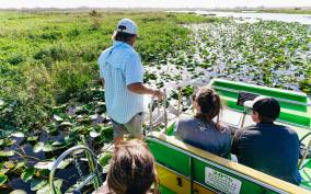 Orlando: Florida Everglades Wildlife Airboat Tour