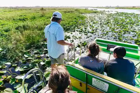 Orlando: Passeio de aerobarco pela vida selvagem dos Everglades da Flórida