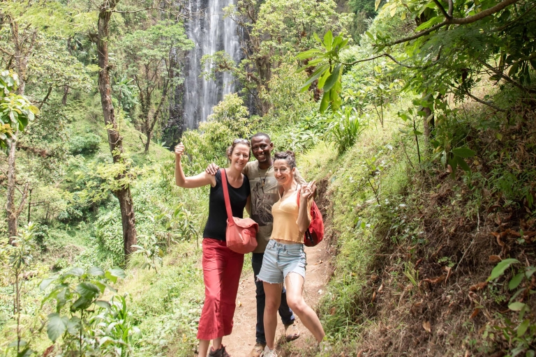 Tagesausflug zu den Materuni-Wasserfällen und Kaffee-Tour in Tansania