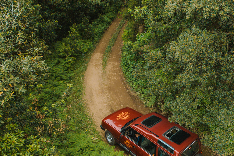 Funchal: Craft Your Adventure, private Jeep Tour w/ pick-up