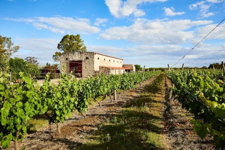 Luxury Experience in Carmelo: Wine and Food Tasting in Narbona Luxury Experience in Carmelo: Wines and Food Tasting in Narbonne