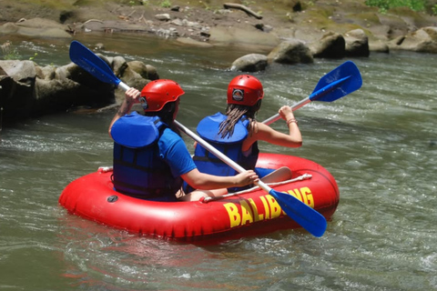 Ubud: Rafting, ATV Quad Bike, or River Tubing Private Tour Quad Bike Adventure with Lunch & Luwak Coffee testing