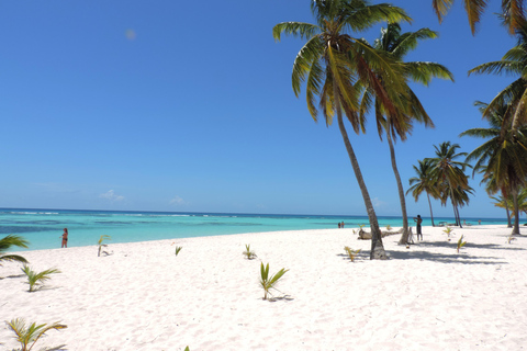 Safari de snorkel y vida salvaje en Isla Saona: ¡Todo incluido!