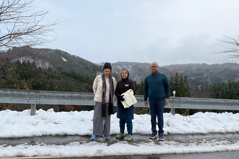 Osaka/Kioto; excursión de un día a Shirakawa en vehículo de lujo