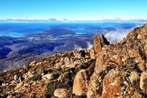 Hobart: Escursione a terra con santuario della fauna selvatica e pranzo