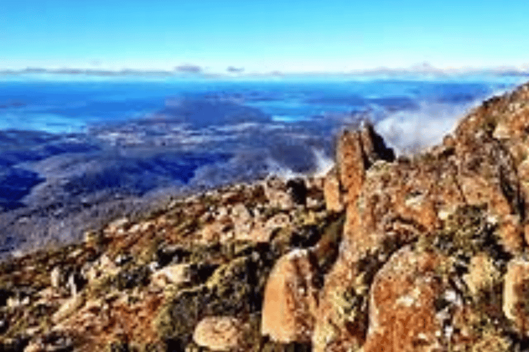 Hobart: Excursie aan wal met wildreservaat en lunch