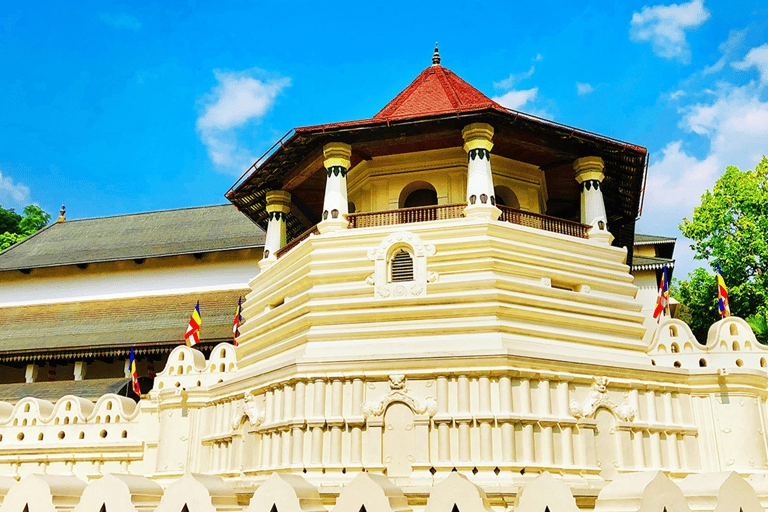 Excursão de um dia com tudo incluído em Kandy