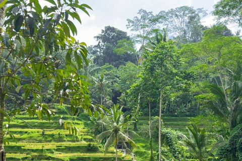 Ubud: Temple, Waterfall, Rice Terrace, Ubud Market & Palace Without entry tickets