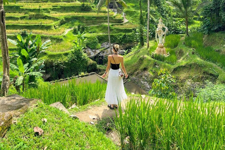 Ubud: Temple, Waterfall, Rice Terrace, Ubud Market & Palace Without entry tickets