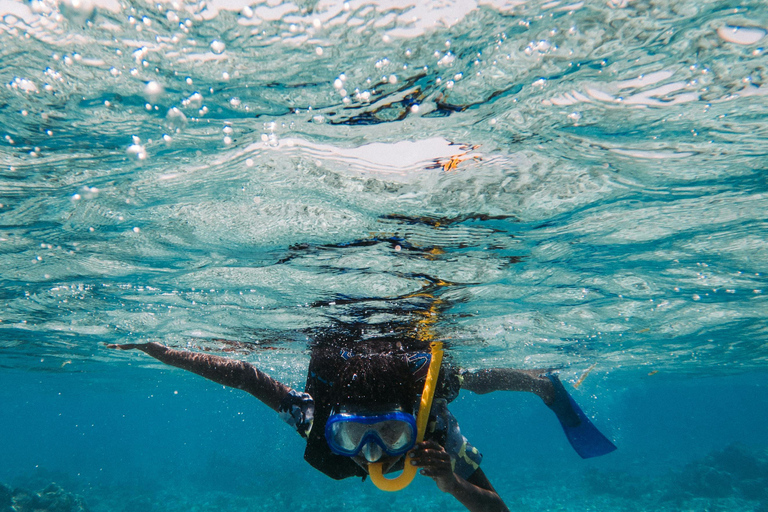 3-Days Wasini Island Dhow Safari and Marine Park Experience