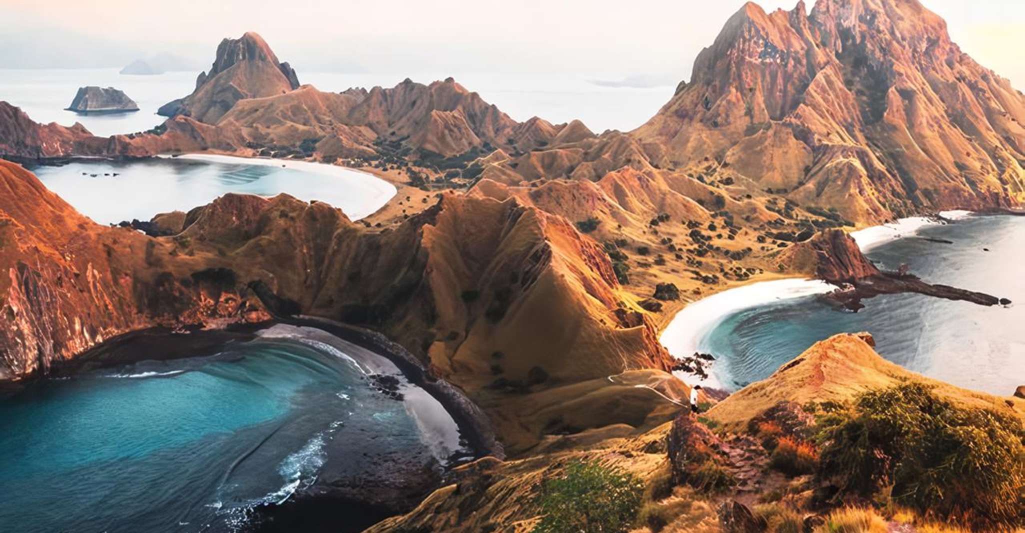 Full Day Tour Komodo Island With Sharing Speedboat - Hizvo