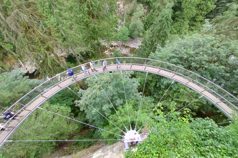 Puente colgante de Capilano/Tour privado en coche/Precio garantizado