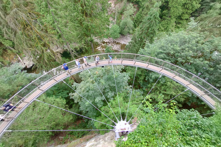 Ponte suspensa de Capilano/Tour particular de carro/Garantia de preço