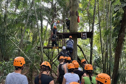 Panama City: Canopy, a 10-line adventure circuit, Gamboa