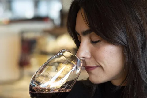 Tour della città e degustazione di vini