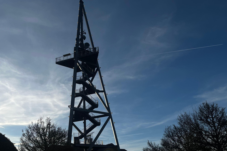 Zurich: Raclette Experience at Uetliberg, Zurich's Viewpoint