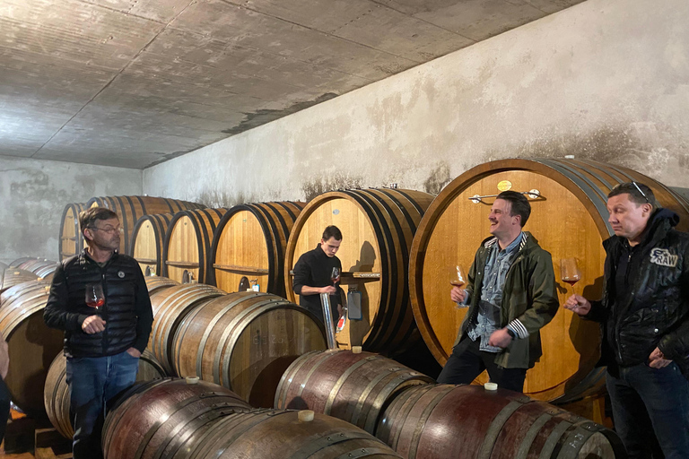 Dégustation de vin à PatrimonioCasta