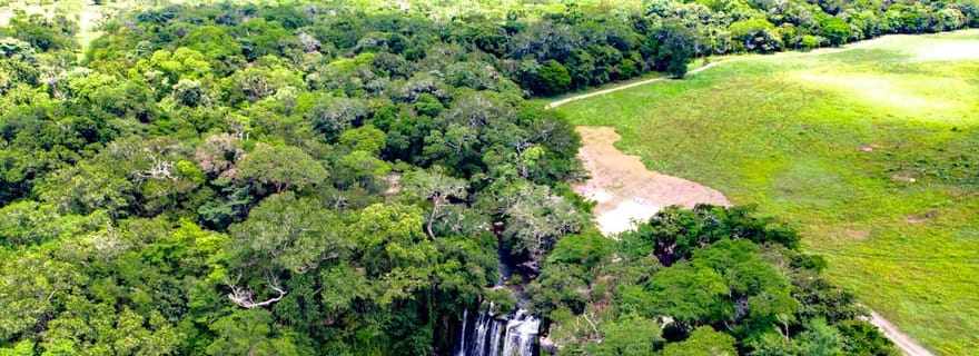 Observation de paresseux, chocolat et déjeuner à Bijagua