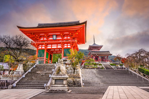 Kyoto: 3 patrimoni dell&#039;umanità UNESCO e tour di 1 giorno di Fushimi Inari