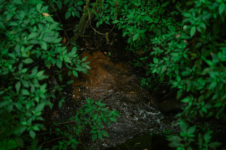 Doi Inthanon i Kew Mae Pan: Natura, kultura i przygoda