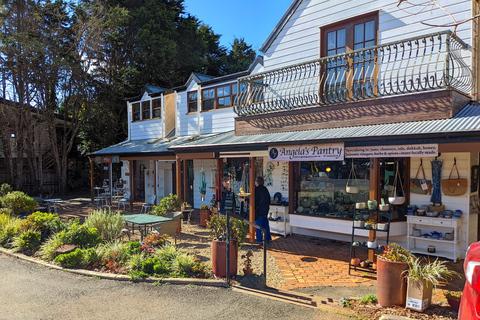 Vanuit Brisbane: Tamborine Mountain en Paradise Point Tour