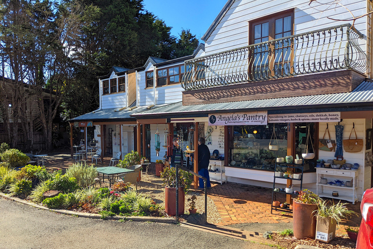 Vanuit Brisbane: Tamborine Mountain en Paradise Point Tour