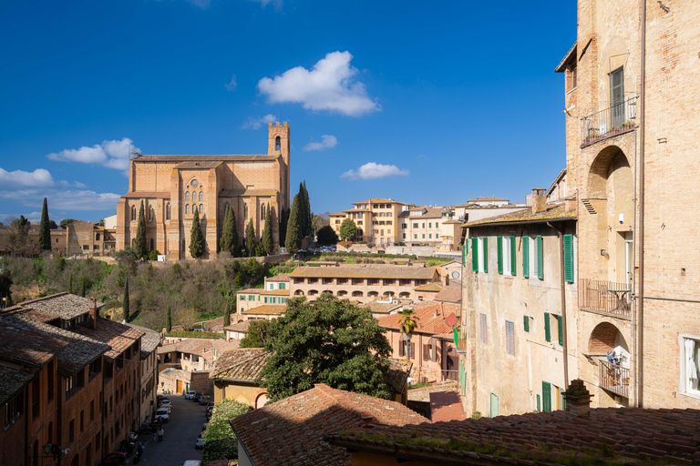 Florence: Tuscany 1-Day Flexible Sightseeing Bus Tour