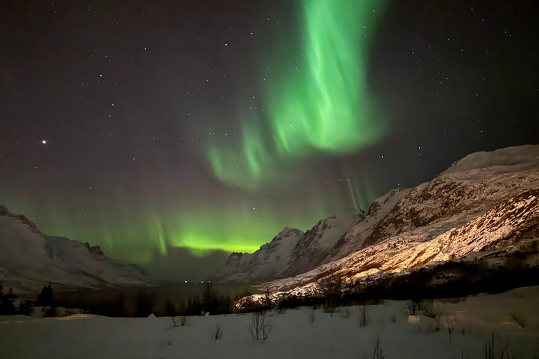 Tromsø: Wycieczka po zorzy polarnej z gorącym jedzeniem i napojami