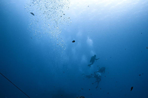 Honolulu: Crucero con esnórquel y fuegos artificiales al atardecer