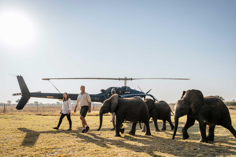 Maun: Elephant Havens Helicopter Experience