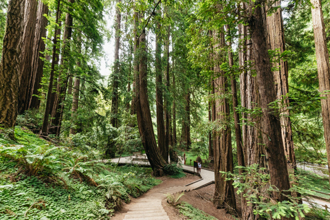 San Francisco: Tour per piccoli gruppi di Muir Woods e SausalitoDa San Francisco: tour per piccoli gruppi di Muir Woods e Sausalito