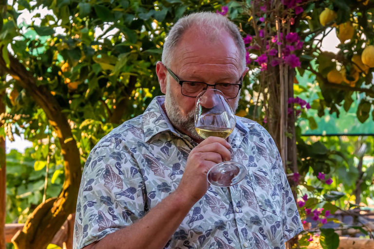 SORRENTO: Degustazione di vini con vista sul mare in un limoneto