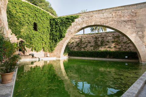 Palma de Maiorca: Bilhete de entrada do Palácio La AlmudainaPalma de Mallorca: Ingresso para o Palácio La Almudaina