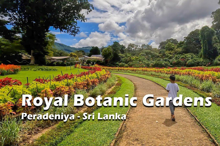 Sri Lanka: 2-dniowa wycieczka do Sigiriya, Dambulla i Kandy