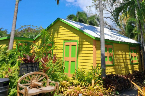 St. Kitts No Hustle No Hassle Private Tour with Don