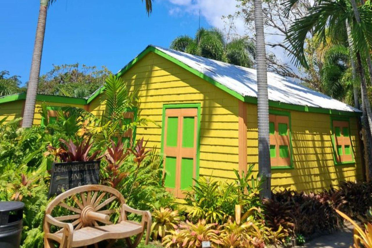 St. Kitts No Hustle No Hassle Private Tour with Don