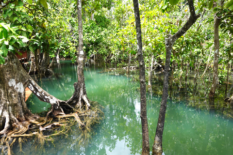 Krabi: Laem Sak Heritage and Nature Day Trip with Lunch