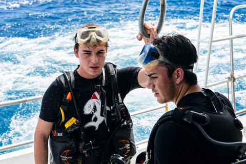 Khao Lak: Similan and Surin Daytrip 2 dives + Hotel Transfer Friday Option — Richelieu Rock