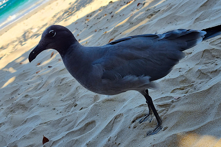 Galapagos: Luxury and Nature Premium 4D/3N Tour