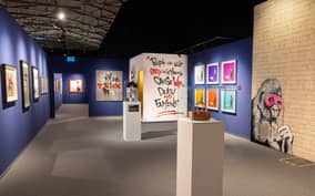 The Mystery of Banksy Manchester Exhibition Entry Ticket