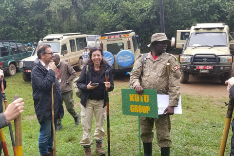 Vanuit Kigali: 2-daagse Uganda Gorilla trektocht