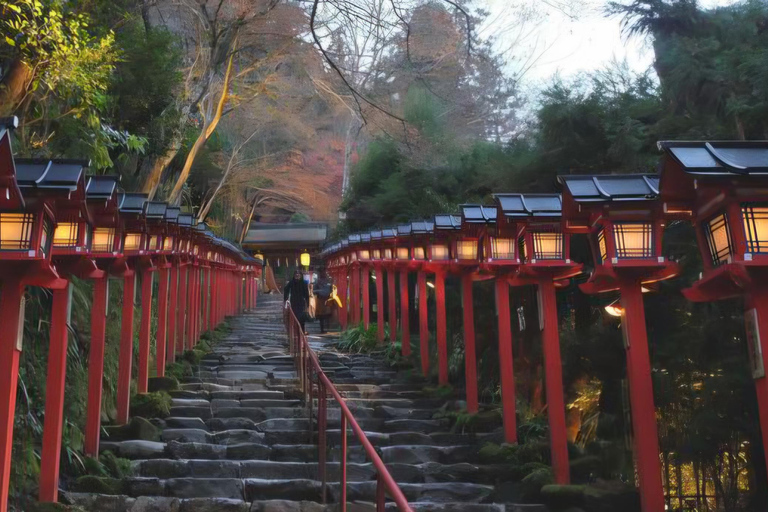 Nara: Private Car Tour with Pickup from Osaka or Kyoto