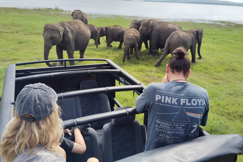 Sigiriya Rock & Minneriya Elephant Safari Day Tour