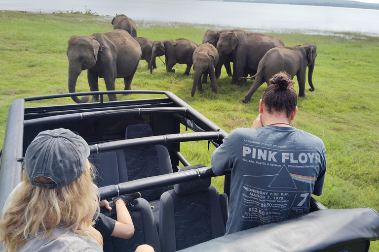 Sigiriya Rock & Minneriya Elephant Safari Day Tour