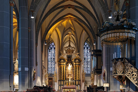 Dusseldorf City Highlights Private Guided Walking Tour 3-hour: Extended Old Town Tour